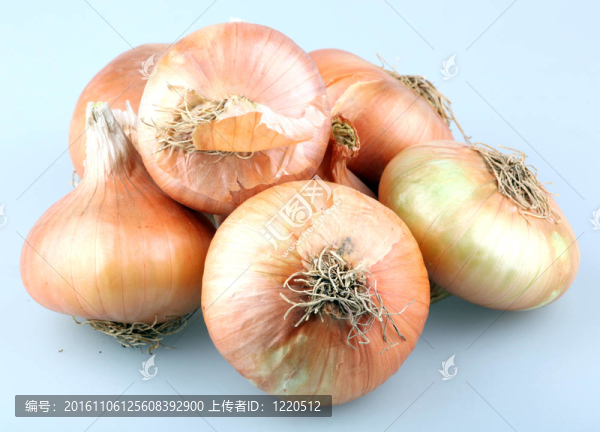 洋蔥