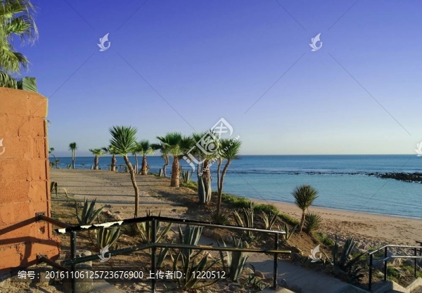海灘觀