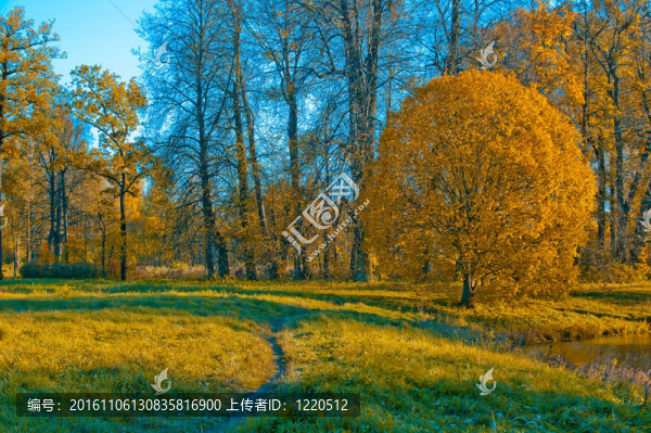 秋天的風(fēng)景