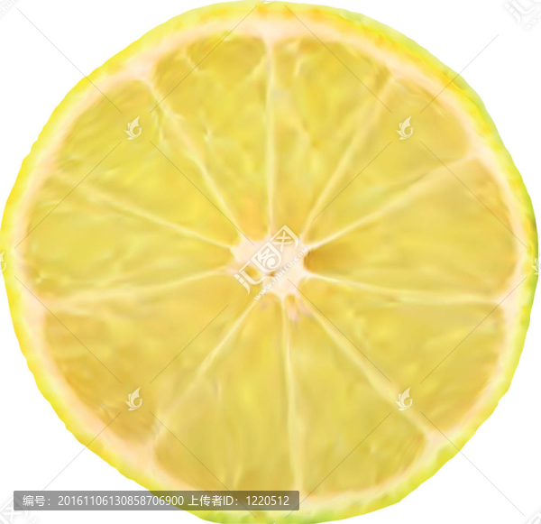 檸檬片宏完美。插畫