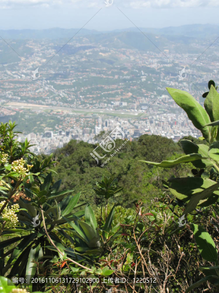 從阿維拉加拉加斯國(guó)家公園鳥(niǎo)瞰