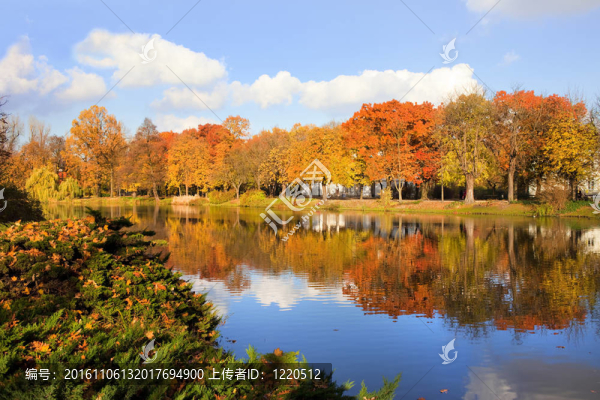 華沙的瓦津基公園
