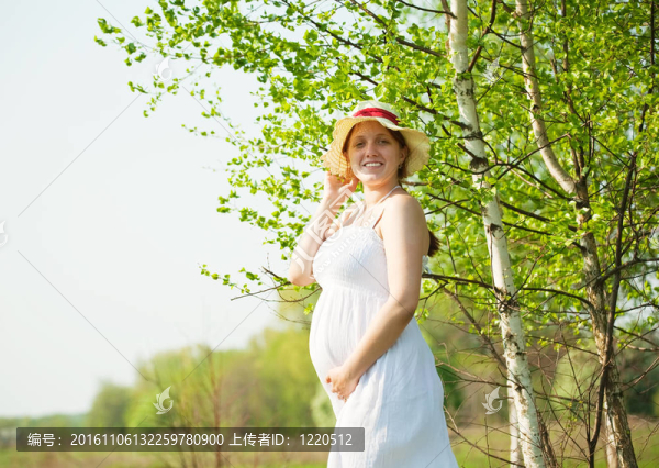 6個(gè)月孕婦