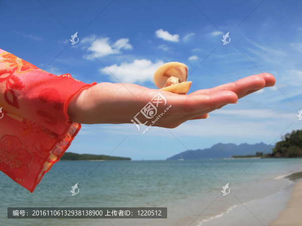貝殼的手在沙灘上Langkawi；馬來西亞