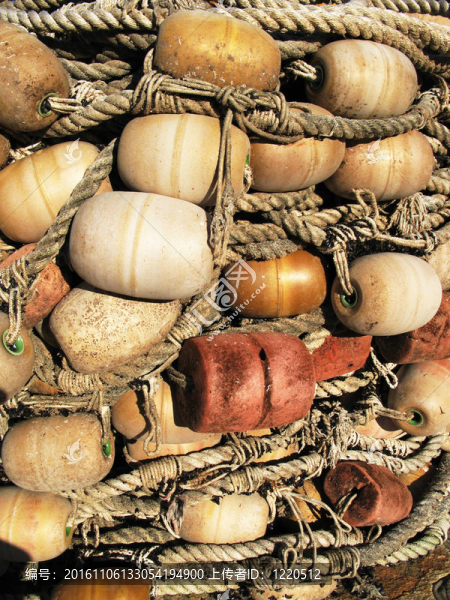 把魚網(wǎng)