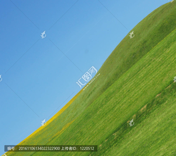 草地和天空