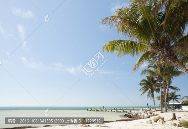 佛羅里達群島海灘景觀