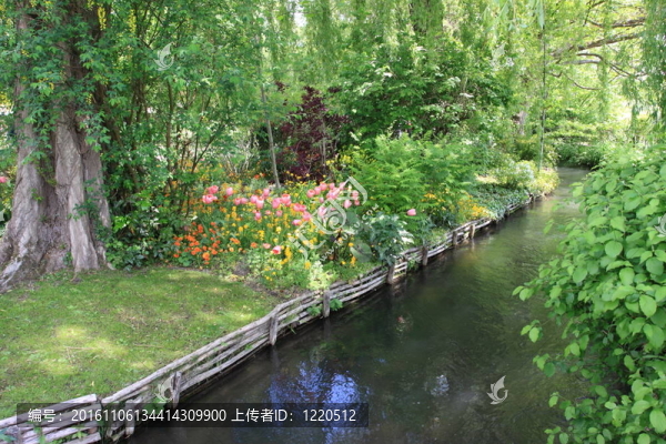 花園里的河