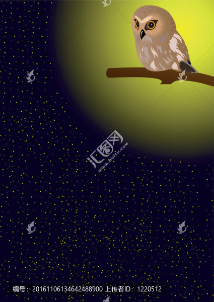 天空中的貓頭鷹