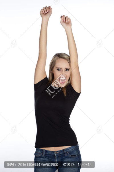 動畫美女模型