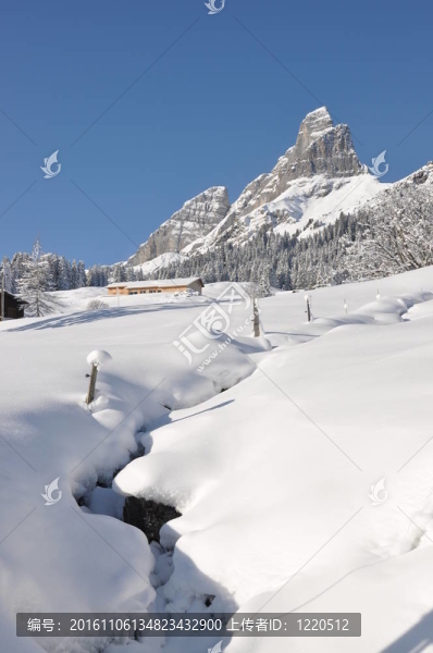 高山風景；瑞士