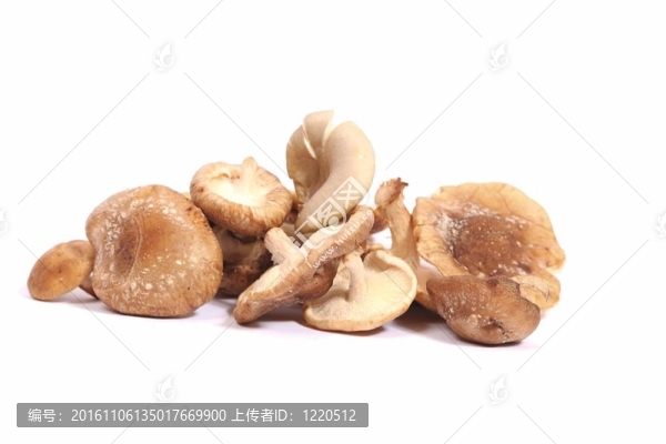 香菇