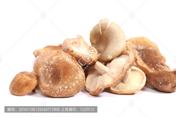 香菇