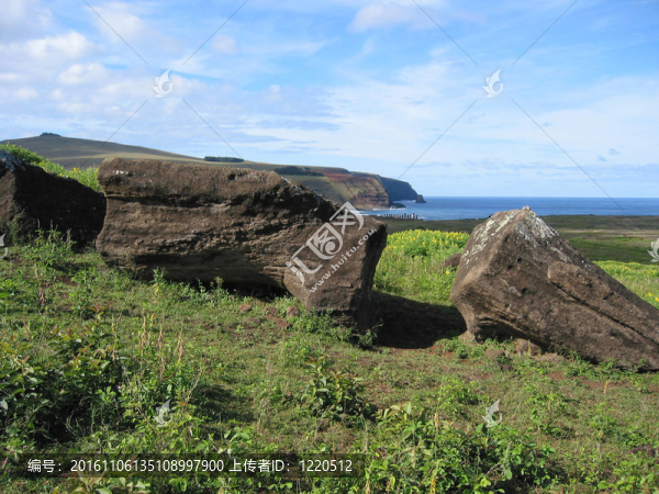 在Rano,Raraku火山的斜坡摩艾石像；復(fù)活島