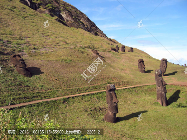 在Rano,Raraku火山的斜坡摩艾石像；復(fù)活島