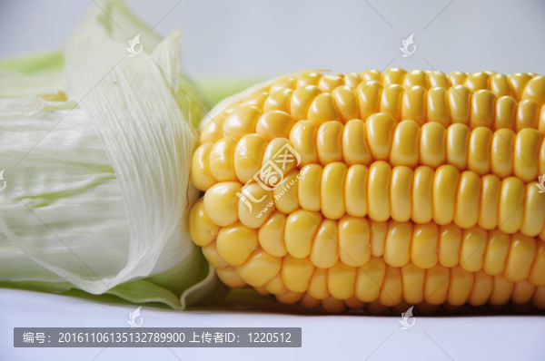四玉米