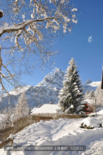 Braunwald；瑞士著名的滑雪勝地