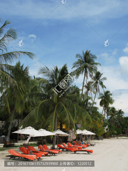 Langkawi島的熱帶海灘；馬來西亞
