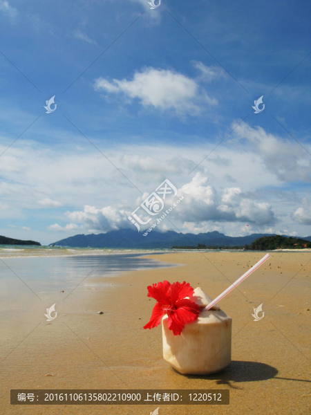 椰子雞尾酒在Langkawi島的沙灘；馬來西亞