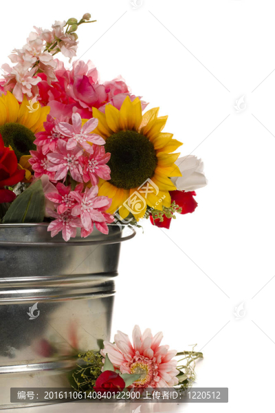 桶里的Flowers