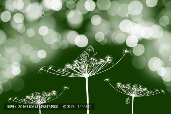 明亮的背景上的草的剪影