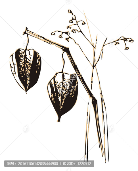 美麗的干花與水果盒和草