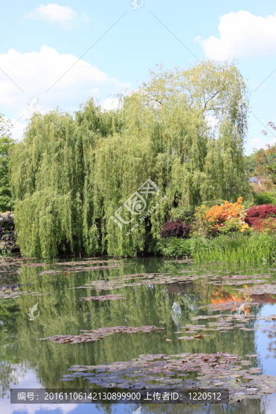 花園里的河