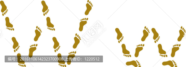 字母W；痕跡
