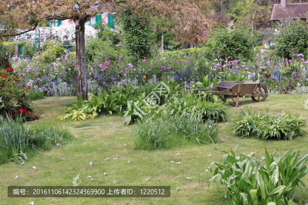 春天的花園