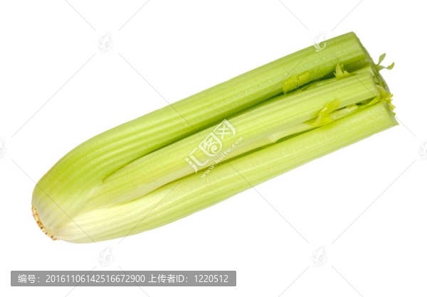 白色背景上分離的芹菜