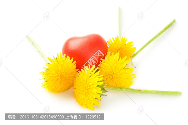 白色的花和心臟