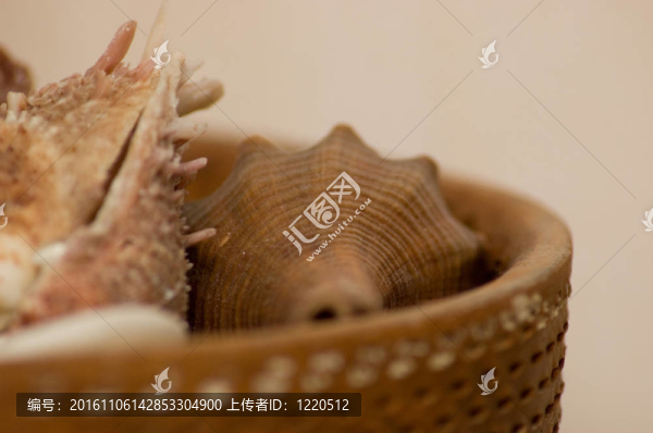 在一個(gè)鍋里的貝殼