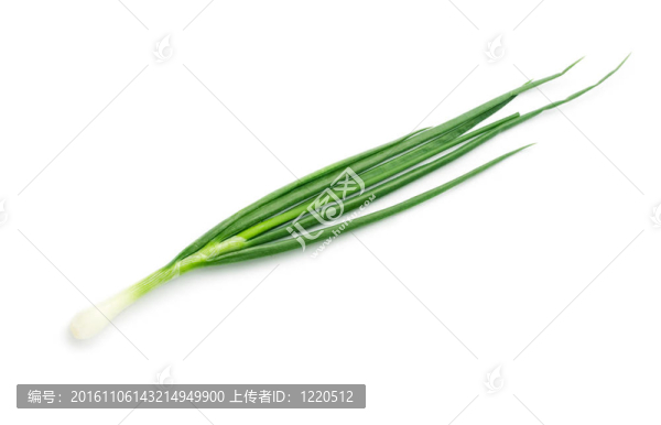 白色洋蔥頭