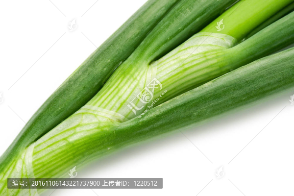 白色洋蔥頭