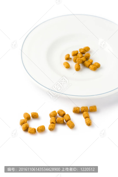 白色寵物食品