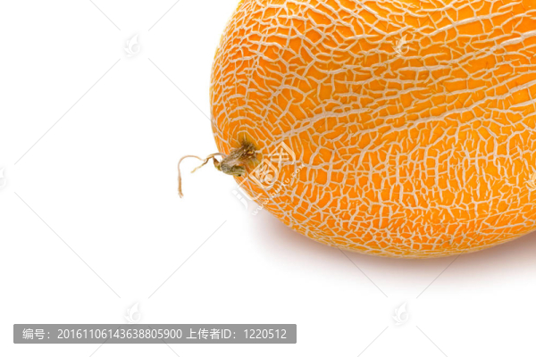 白瓜