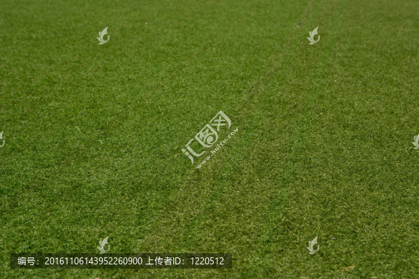游樂場(chǎng)
