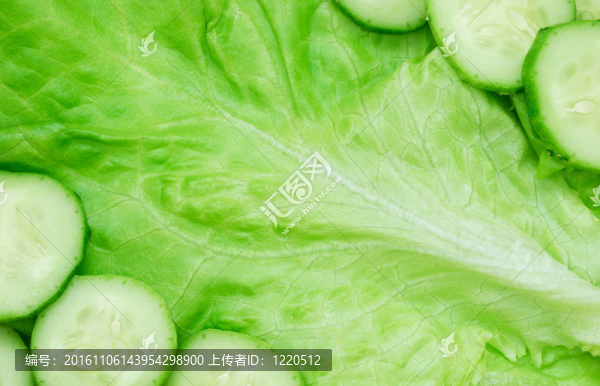 生菜