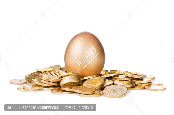 黃金蛋在白色硬幣上孤立