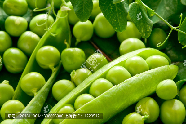 莢中的綠豌豆