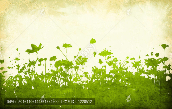 花摘要