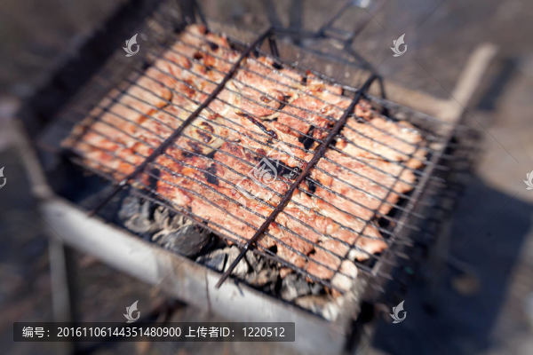 烤豬排在網(wǎng)格燒烤燒烤