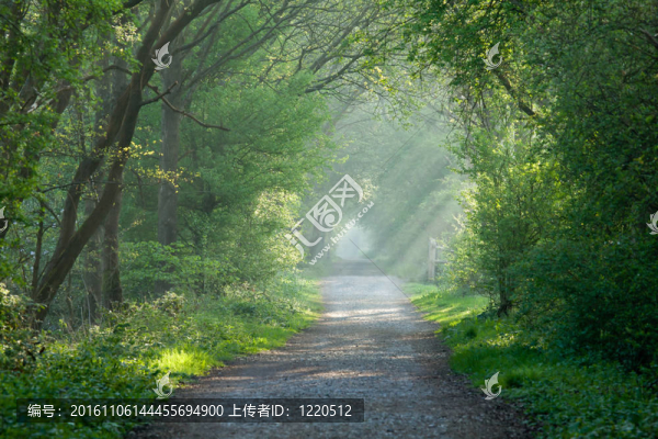 農(nóng)村的軌道和陽光