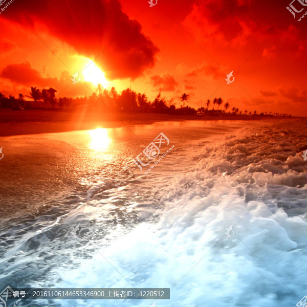 海洋太陽星