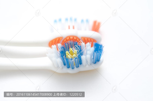兩牙刷白色隔離