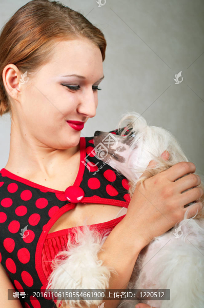美麗的女孩和中國冠毛犬