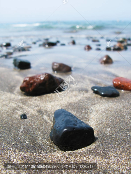 黑色的火山沙灘特內里費島；金絲雀