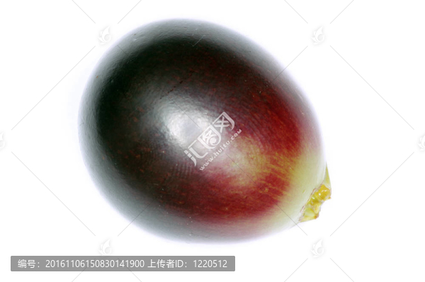 葡萄