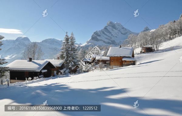 Braunwald；瑞士著名的滑雪勝地