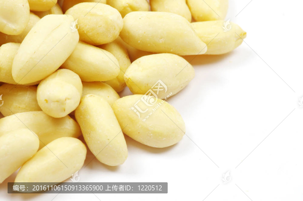 花生-匯圖網(wǎng) www.fosd68.com 花生